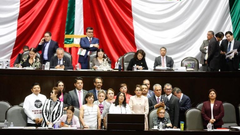 Cámara de Diputados aprueba la ley para etiquetado de productos; pasa al Senado