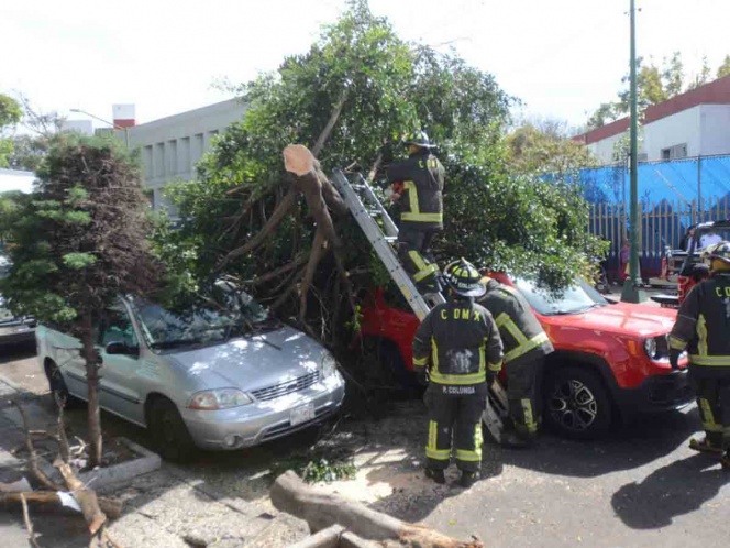 Activan Alerta Amarrilla por fuertes vientos en CDMX