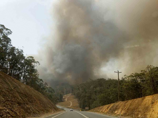 ¡Por fin! Los incendios en Australia son controlados