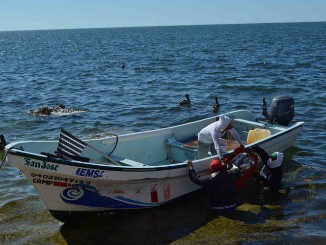 Seis pescadores desaparecen en el mar en Oaxaca