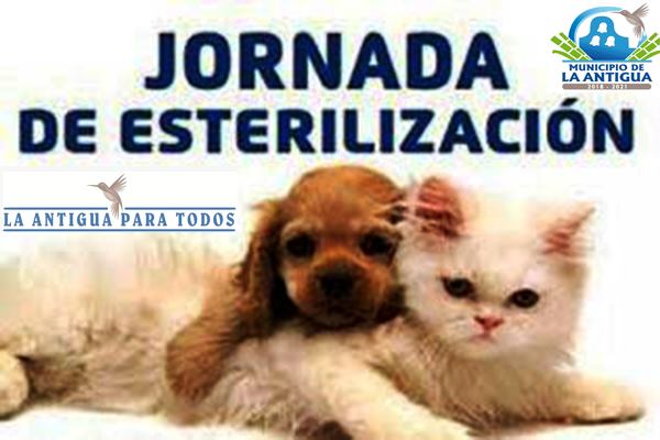 Jornada de esterilización canina y felina 19 Y 20 de febrero en La Antigua