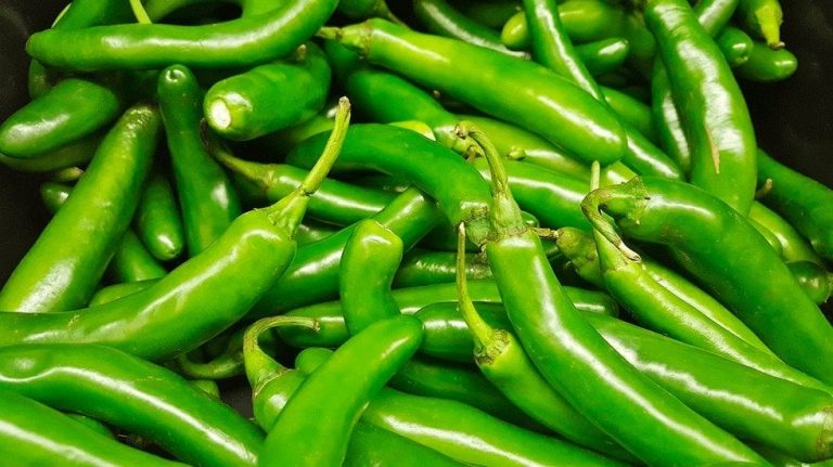 Chiles chinos en México, 6 de cada 10 chiles que se consumen son de allá