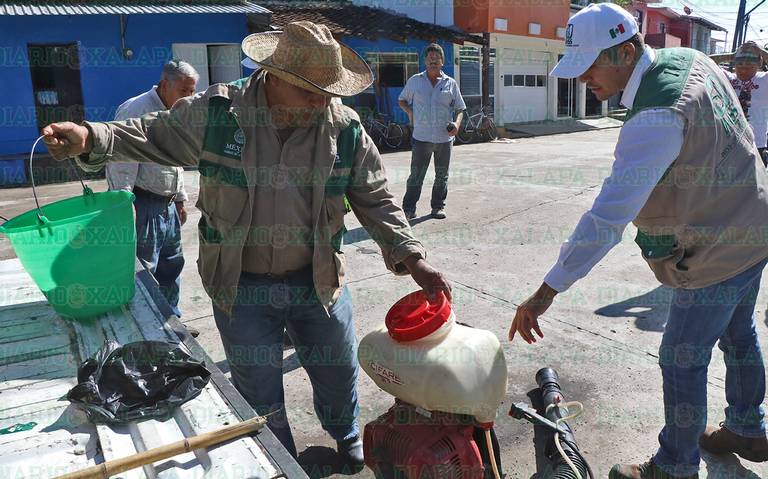 Exhortan a la población a colaborar con campañas de descacharrización