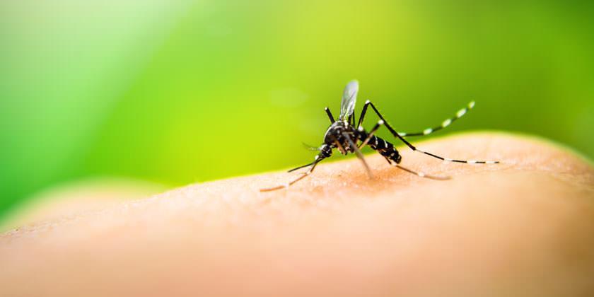 Dengue seguirá si no colaboran, advierte especialista