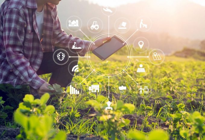 La FAO pone política de datos abiertos sobre agricultura y alimentación