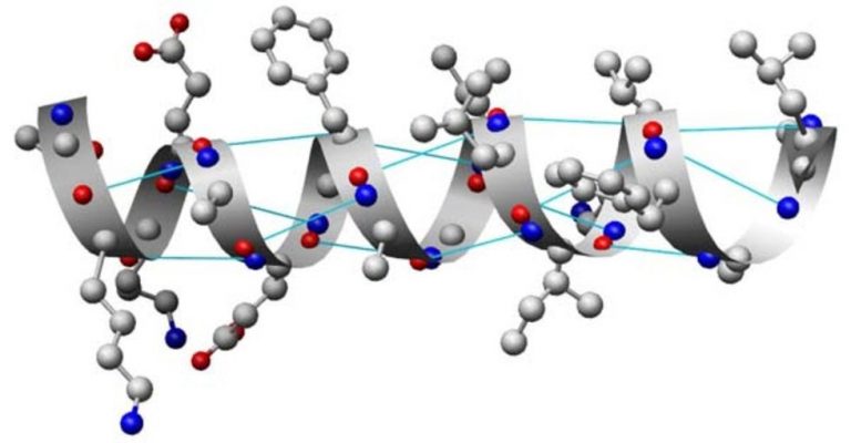 Descubren origen de las estructuras de proteínas, la vida en la Tierra