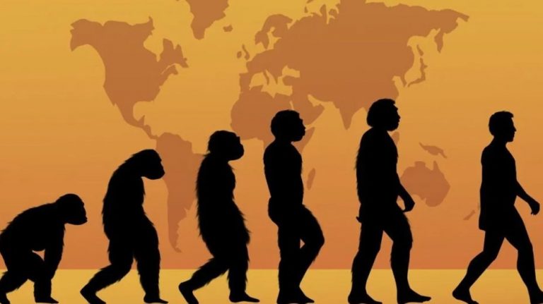 Proteínas podrían reescribir las etapas de la evolución humana