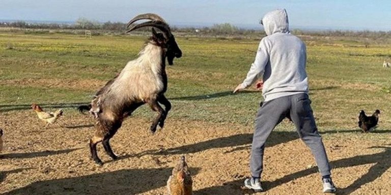 Peleador de la UFC no puede ir al gym por el Covid-19