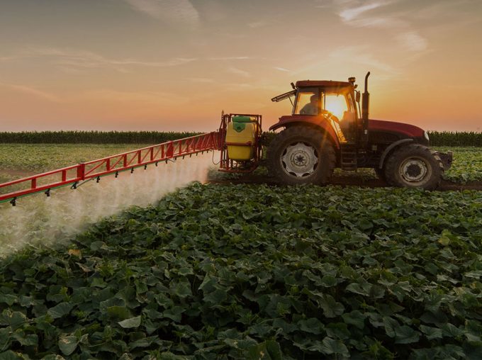 Primeros informes del riesgo acumulativo de pesticidas en los alimentos