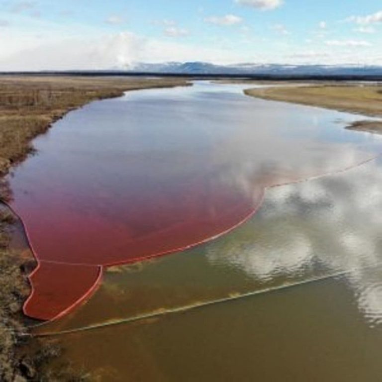 Putin declara estado de emergencia por desastre ambiental en Siberia