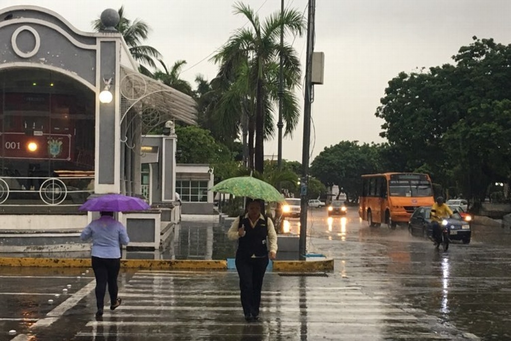 ¡Saca el paraguas! Podría llover de esta noche a mañana en Veracruz