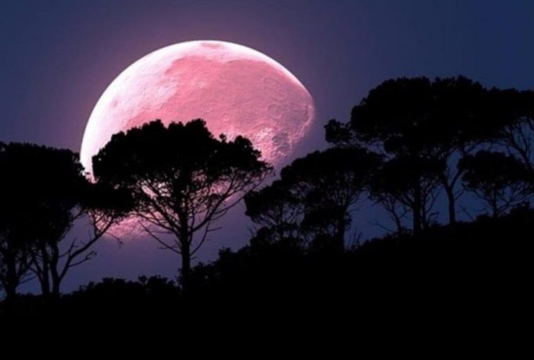 ¿Podrá verse en México el fenómeno astronómico de la luna llena rosada?