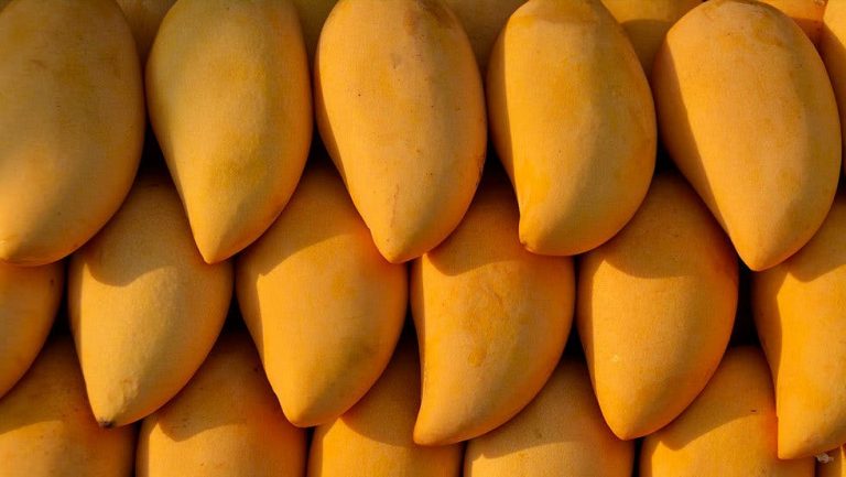 La cáscara de mango es antibacterial y cicatrizante