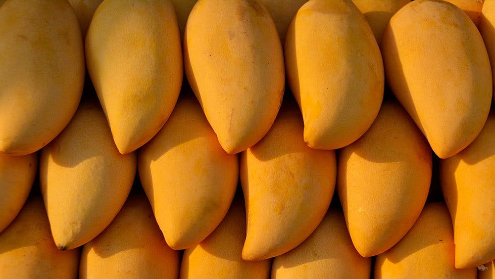 La cáscara de mango es antibacterial y cicatrizante