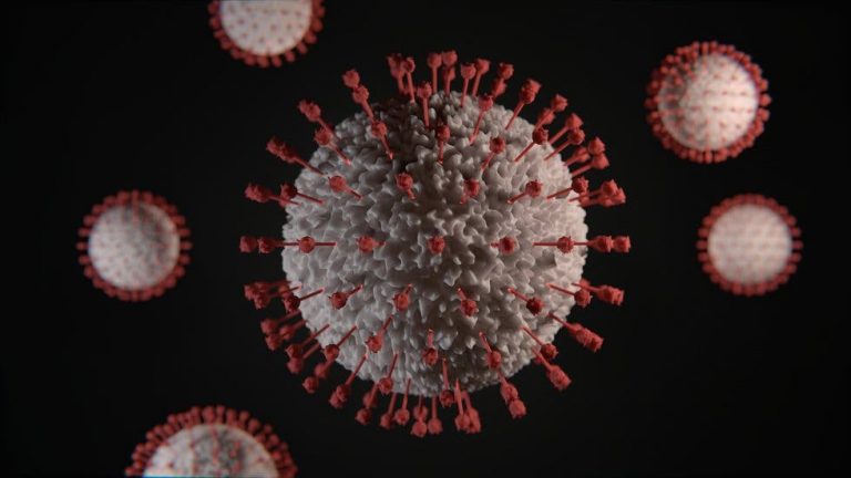 Investigadores encuentran pruebas de que el coronavirus es un híbrido