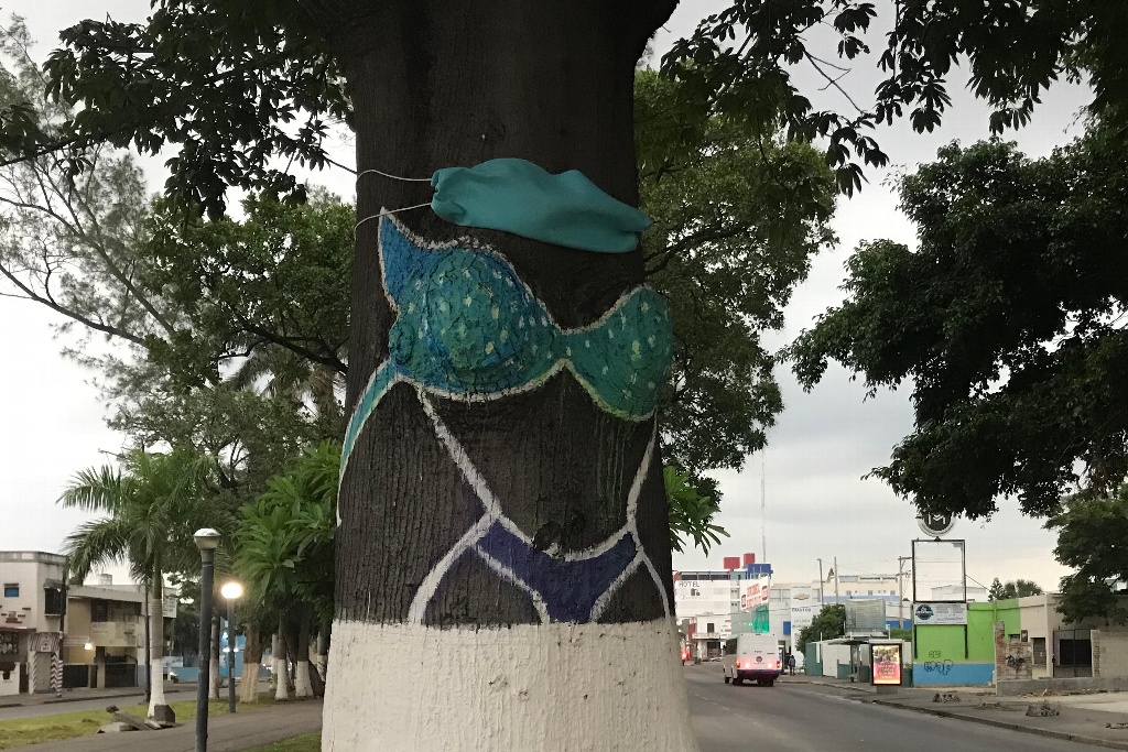 El árbol “del biquini” en Veracruz tiene su propio cubrebocas