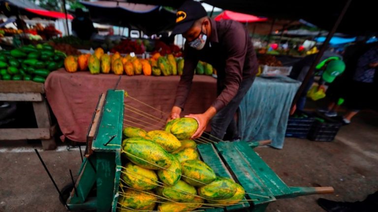 La pandemia de COVID-19 empeorará la calidad de la alimentación