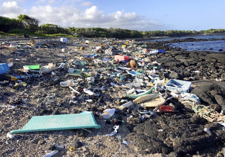 EPA declara 2 playas de Hawai como no aptas por basura