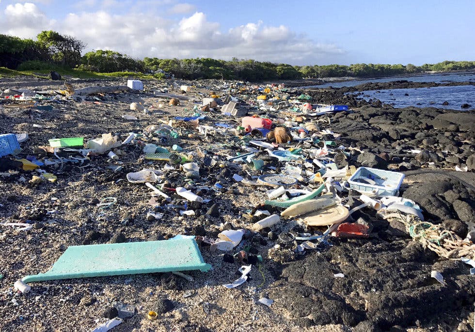 EPA declara 2 playas de Hawai como no aptas por basura