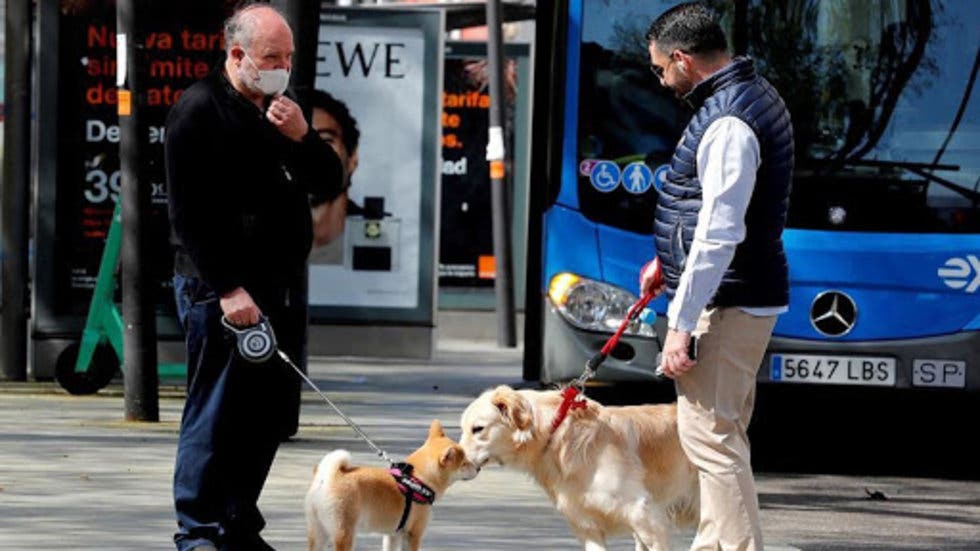 Perros son capaces de detectar personas contagiadas de COVID-19