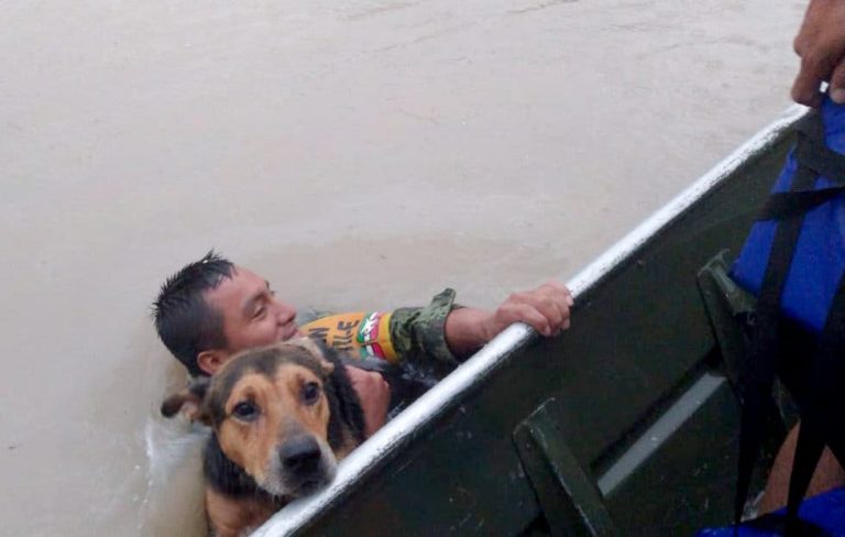 Soldado rescata a un perrito tras inundación en Reynosa