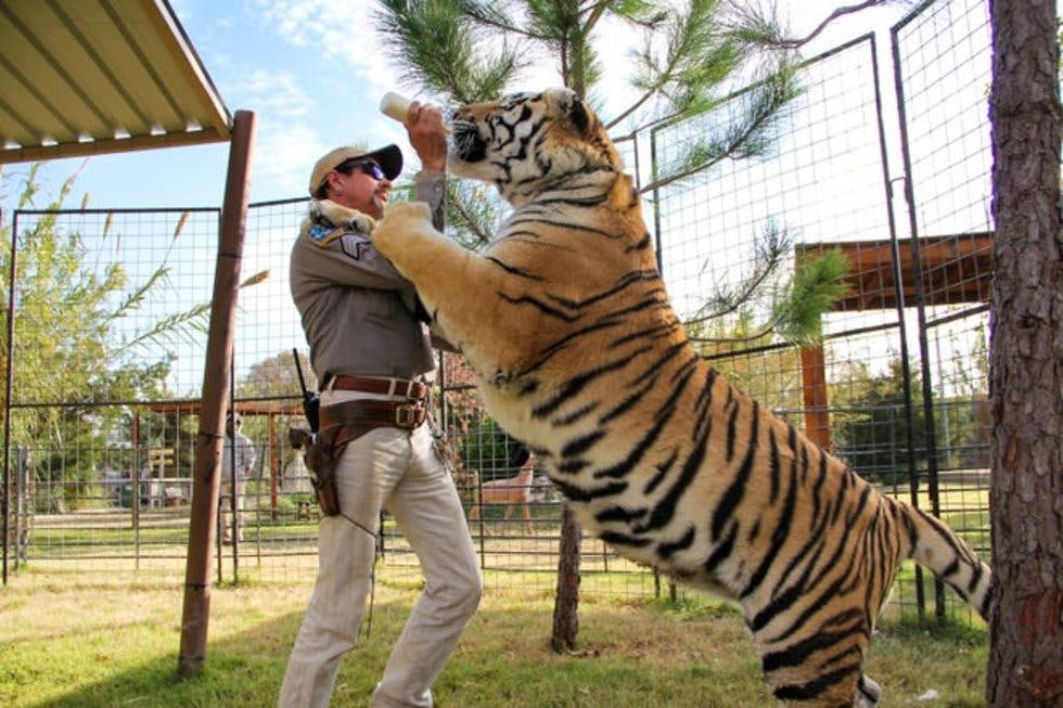 Zoológico que apareció en la serie de Netflix ‘Tiger King’ cierra