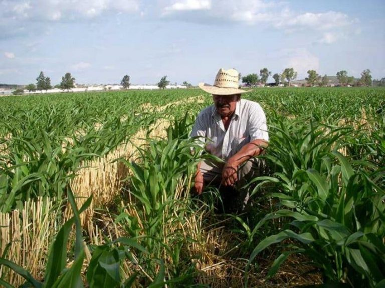 México rompe récord en el superávit agrícola con Estados Unidos