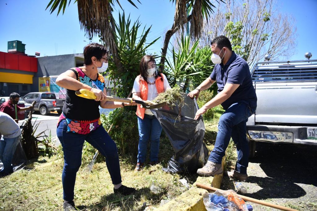 Se suma Congreso a labores de chapeo, señalización y limpieza de Xalapa