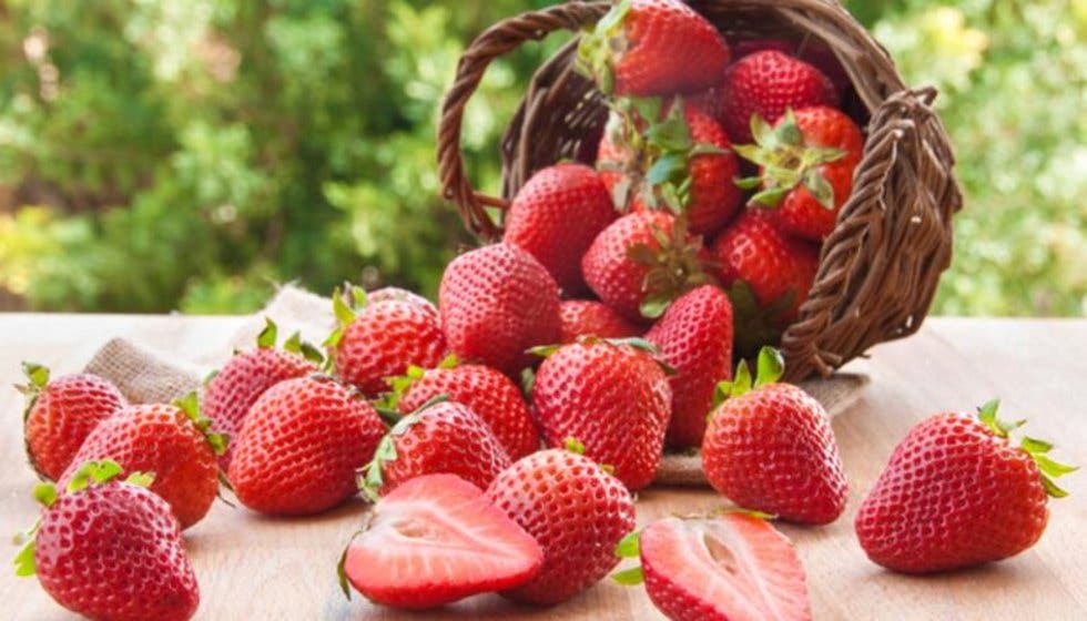 EU perfila tarifas contra pimientos y fresas mexicanas