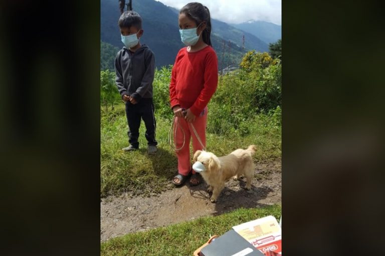 Se viralizan niños que llevan a vacunar a perro con cubrebocas