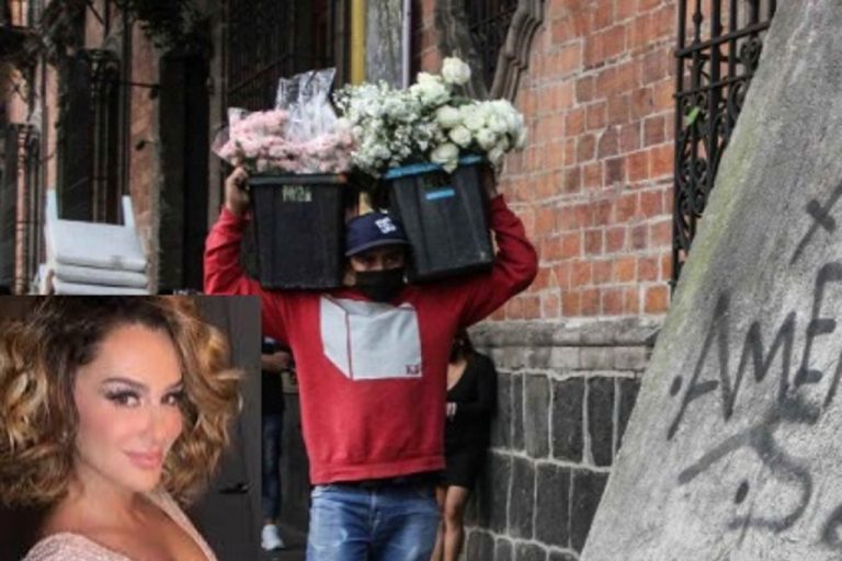 Cancelan boda de Ninel Conde por semáforo naranja