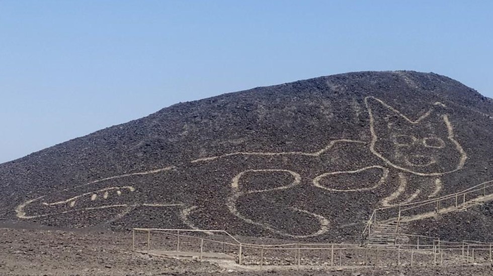 Hallan por casualidad en Perú geoglifo de gato en Pampa de Nazca