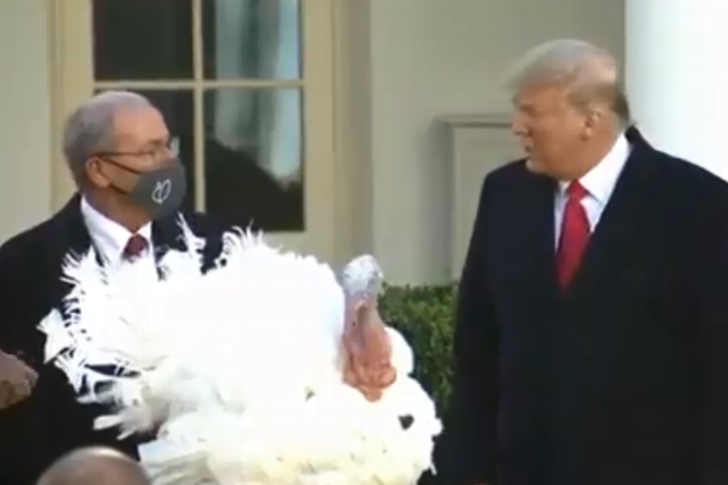 Por Día de Acción de Gracias, Trump indulta pavo en la Casa Blanca