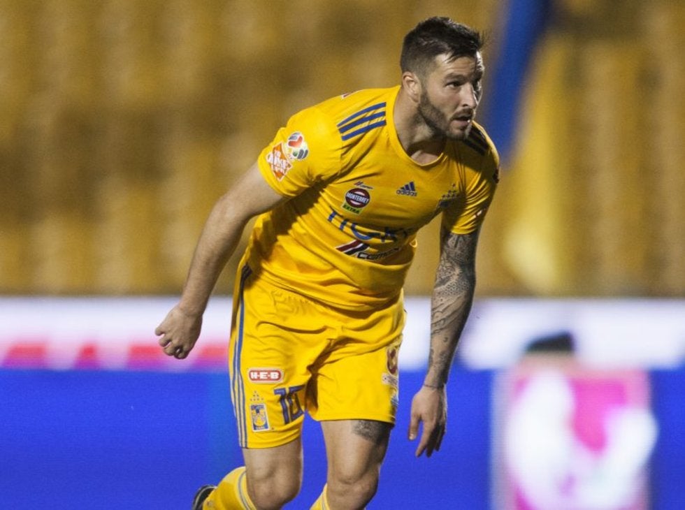 Gignac confiesa que quiere quedarse en México y ser Director Técnico