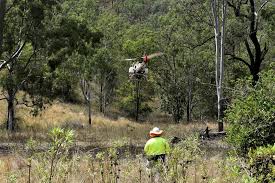 Planean en Australia plantar 100 mil árboles usando drones